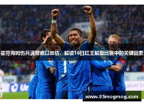 霍芬海姆伤兵满营难以高估，解读16日红王解盘比赛中的关键因素