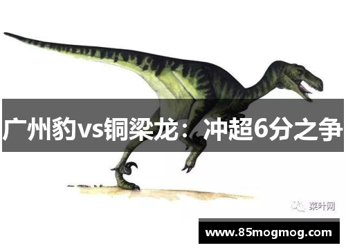 广州豹vs铜梁龙：冲超6分之争